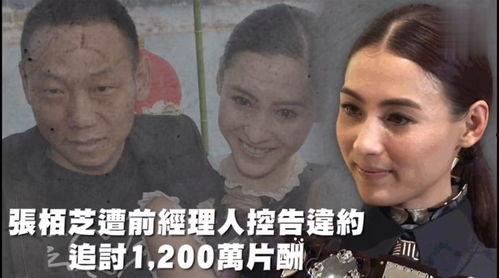 吃瓜娱乐搞笑,娱乐圈那些逗趣瞬间大盘点